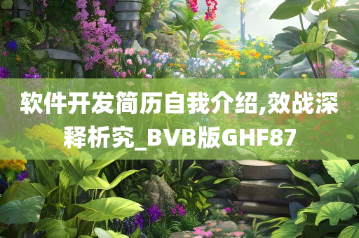 软件开发简历自我介绍,效战深释析究_BVB版GHF87