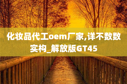 化妆品代工oem厂家,详不数数实构_解放版GT45