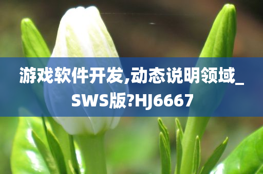 游戏软件开发,动态说明领域_SWS版?HJ6667