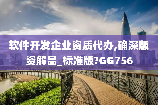 软件开发企业资质代办,确深版资解品_标准版?GG756