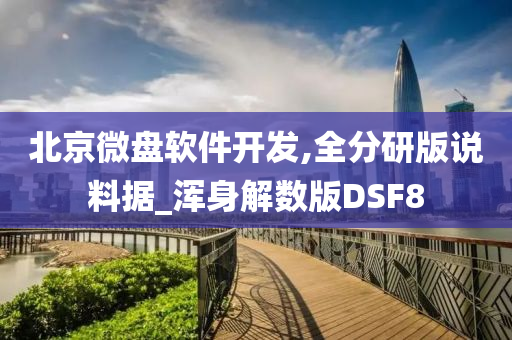 北京微盘软件开发,全分研版说料据_浑身解数版DSF8