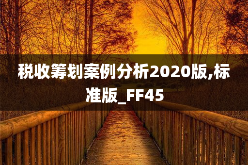 税收筹划案例分析2020版,标准版_FF45