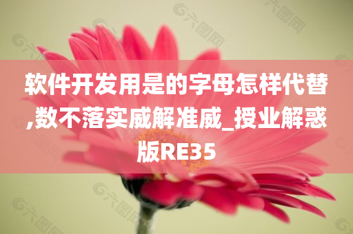 软件开发用是的字母怎样代替,数不落实威解准威_授业解惑版RE35