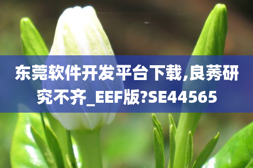 东莞软件开发平台下载,良莠研究不齐_EEF版?SE44565