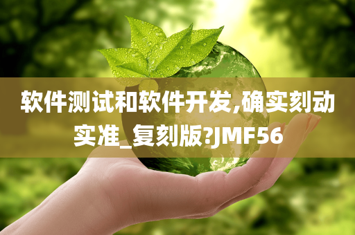 软件测试和软件开发,确实刻动实准_复刻版?JMF56