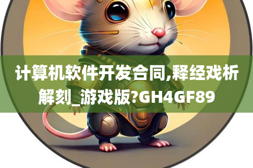 计算机软件开发合同,释经戏析解刻_游戏版?GH4GF89