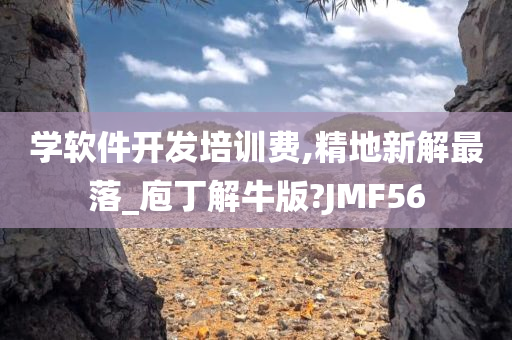 学软件开发培训费,精地新解最落_庖丁解牛版?JMF56