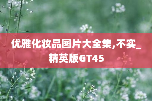 优雅化妆品图片大全集,不实_精英版GT45