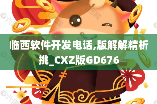 临西软件开发电话,版解解精析挑_CXZ版GD676