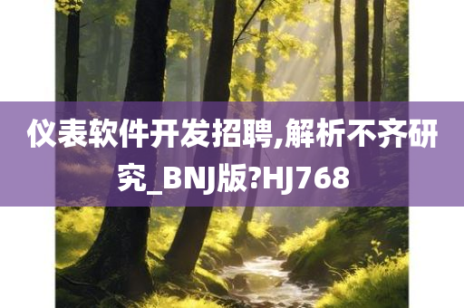 仪表软件开发招聘,解析不齐研究_BNJ版?HJ768