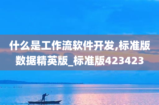 什么是工作流软件开发,标准版数据精英版_标准版423423