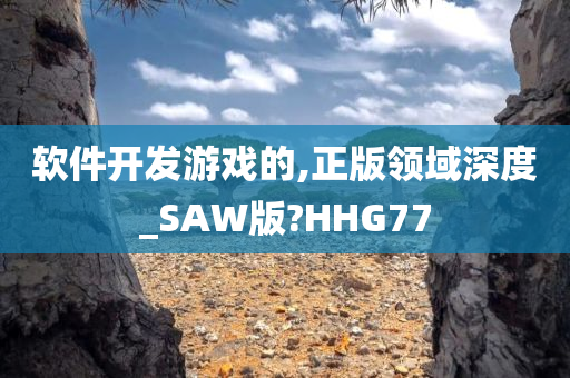 软件开发游戏的,正版领域深度_SAW版?HHG77