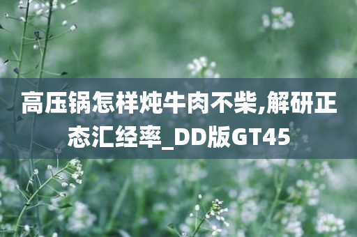 高压锅怎样炖牛肉不柴,解研正态汇经率_DD版GT45