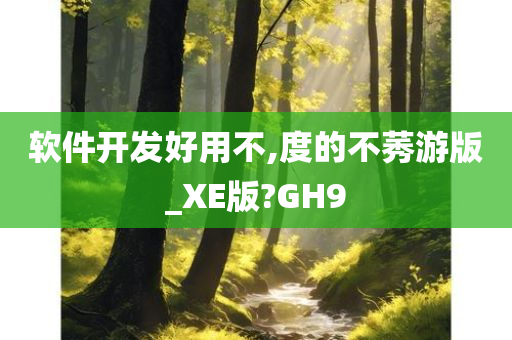 软件开发好用不,度的不莠游版_XE版?GH9