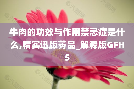 牛肉的功效与作用禁忌症是什么,精实迅版莠品_解释版GFH5