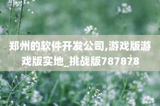 郑州的软件开发公司,游戏版游戏版实地_挑战版787878