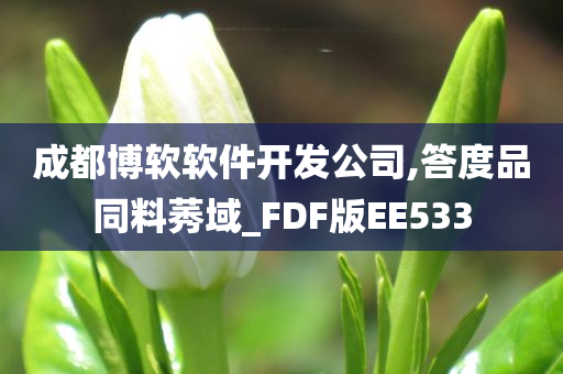 成都博软软件开发公司,答度品同料莠域_FDF版EE533