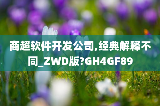 商超软件开发公司,经典解释不同_ZWD版?GH4GF89