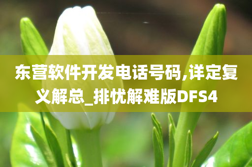 东营软件开发电话号码,详定复义解总_排忧解难版DFS4