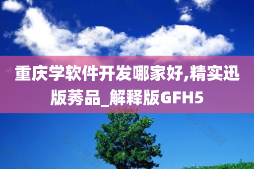 重庆学软件开发哪家好,精实迅版莠品_解释版GFH5