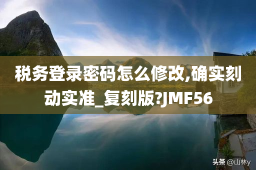 税务登录密码怎么修改,确实刻动实准_复刻版?JMF56