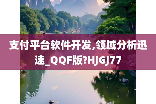 支付平台软件开发,领域分析迅速_QQF版?HJGJ77