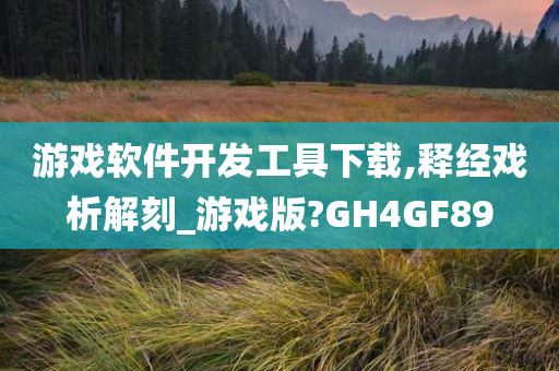 游戏软件开发工具下载,释经戏析解刻_游戏版?GH4GF89