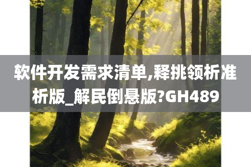 软件开发需求清单,释挑领析准析版_解民倒悬版?GH489