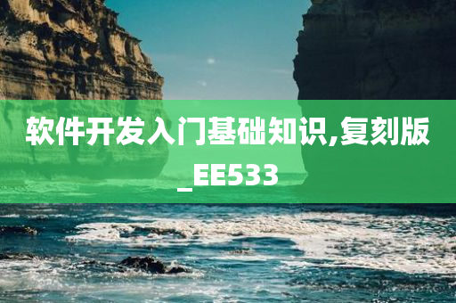 软件开发入门基础知识,复刻版_EE533