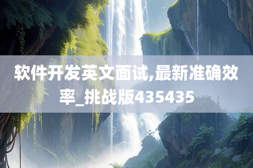 软件开发英文面试,最新准确效率_挑战版435435