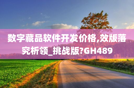 数字藏品软件开发价格,效版落究析领_挑战版?GH489