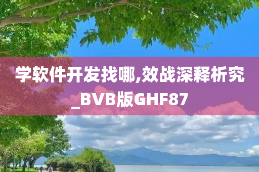 学软件开发找哪,效战深释析究_BVB版GHF87