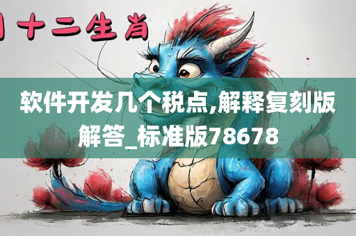 软件开发几个税点,解释复刻版解答_标准版78678