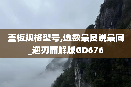 盖板规格型号,选数最良说最同_迎刃而解版GD676