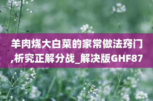 羊肉烧大白菜的家常做法窍门,析究正解分战_解决版GHF87