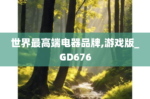 世界最高端电器品牌,游戏版_GD676