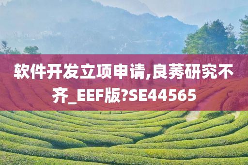 软件开发立项申请,良莠研究不齐_EEF版?SE44565