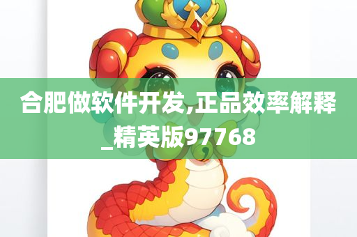 合肥做软件开发,正品效率解释_精英版97768