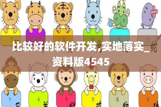 比较好的软件开发,实地落实_资料版4545