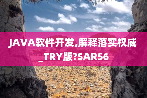 JAVA软件开发,解释落实权威_TRY版?SAR56