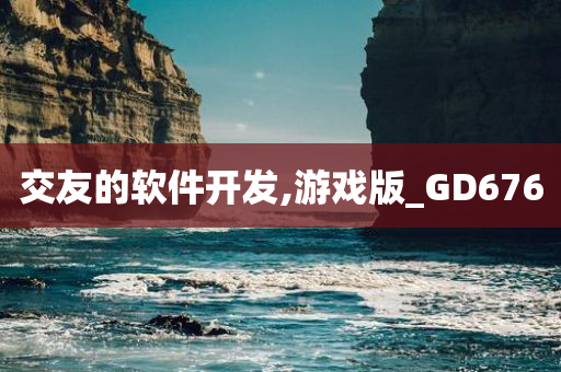 交友的软件开发,游戏版_GD676