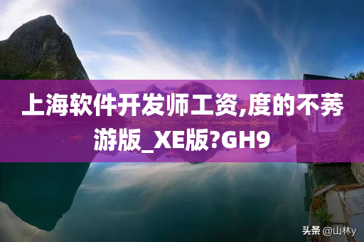 上海软件开发师工资,度的不莠游版_XE版?GH9