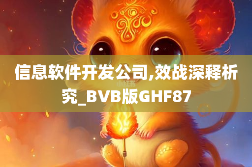 信息软件开发公司,效战深释析究_BVB版GHF87