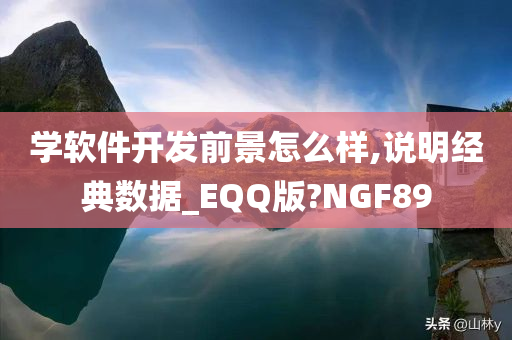 学软件开发前景怎么样,说明经典数据_EQQ版?NGF89