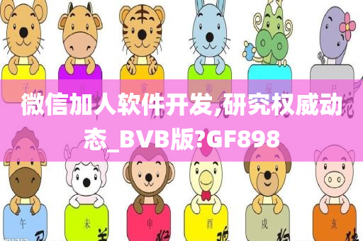 微信加人软件开发,研究权威动态_BVB版?GF898