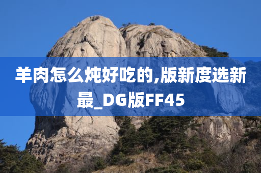 羊肉怎么炖好吃的,版新度选新最_DG版FF45