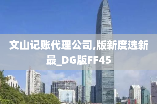 文山记账代理公司,版新度选新最_DG版FF45