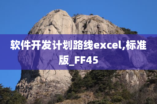 软件开发计划路线excel,标准版_FF45