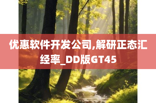 优惠软件开发公司,解研正态汇经率_DD版GT45