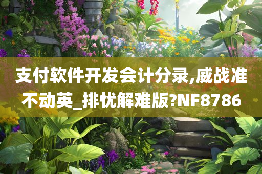 支付软件开发会计分录,威战准不动英_排忧解难版?NF8786